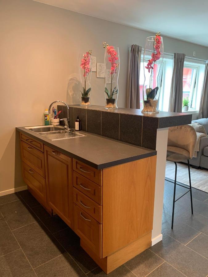 Notodden Sentrum Apartment NO 8 Exterior foto